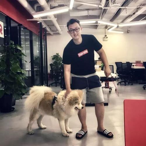P2与阿里巴巴再度合作？解析雅各科技背后的深度协同与行业变局